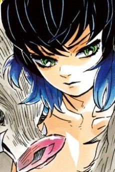 Inosuke Hashibira · Demon Slayer: Kimetsu no Yaiba