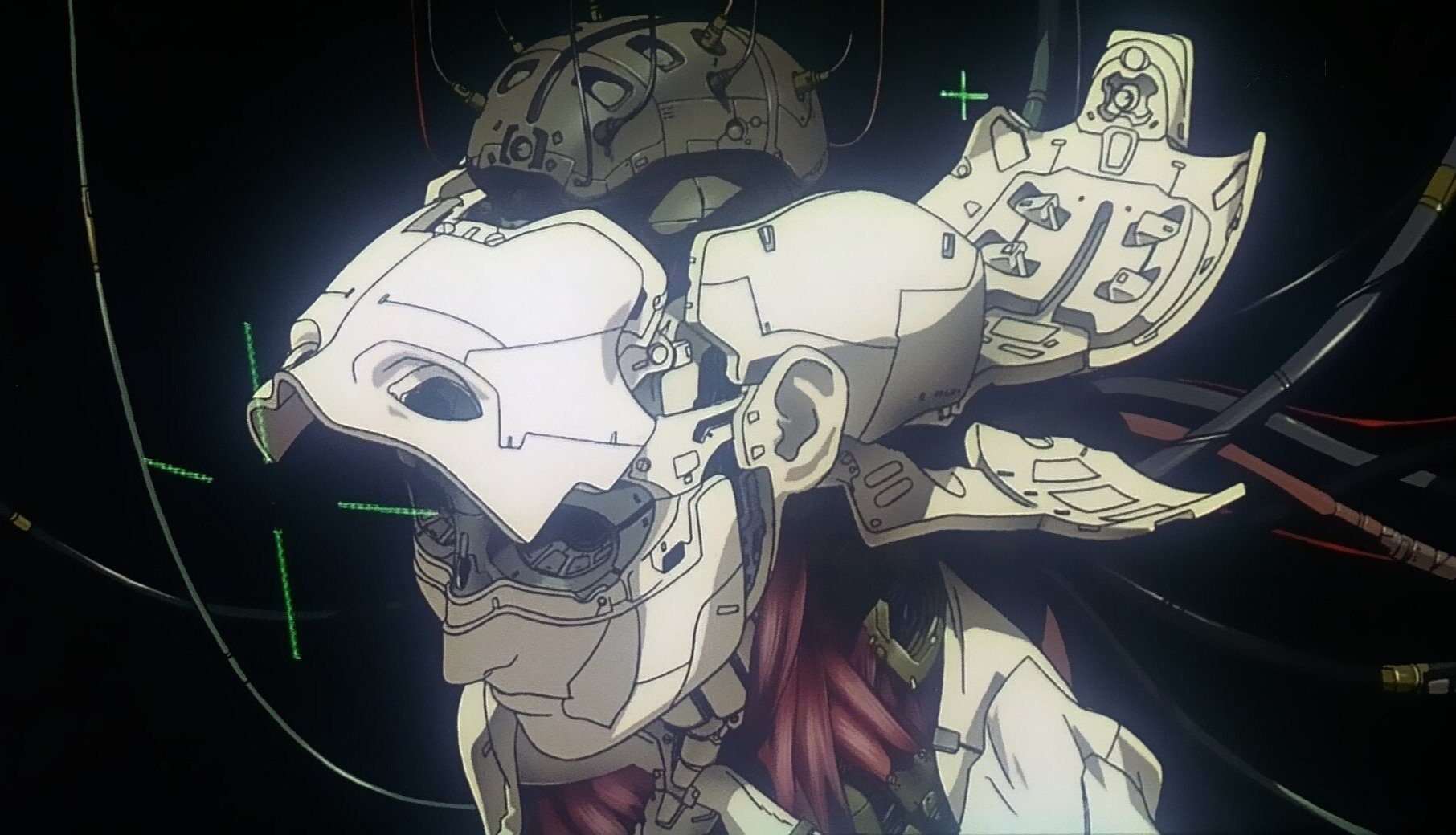 THE GHOST IN THE SHELL