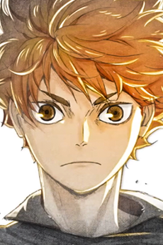 Shouyou Hinata · HAIKYU!!