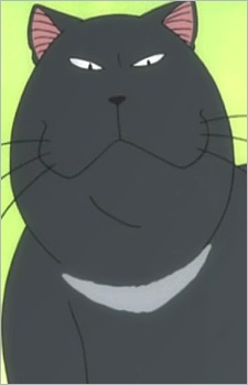 Kuroino · Chi's Sweet Home